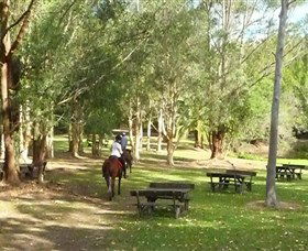 Port Macquarie Horse Riding Centre - Tourism Cairns 6