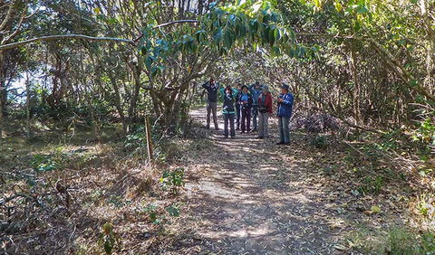 Brunswick Heads Nature Reserve - Tourism Cairns 3