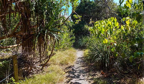 North Head Walking Track - Tourism Cairns 0