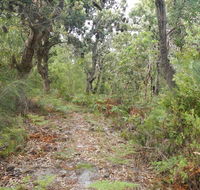 Kinchela Trig Lookout walk - Tourism Cairns