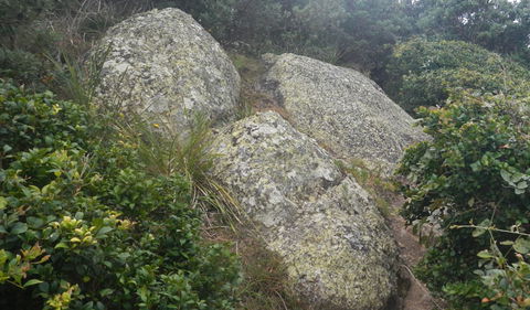 Korogoro Walking Track - Tourism Cairns 2