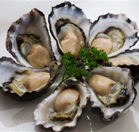 Tathra Oysters - Tourism Cairns