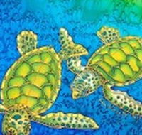 Sea Silks Gallery - Tourism Cairns