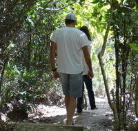 Three Sisters walking track - Tourism Cairns