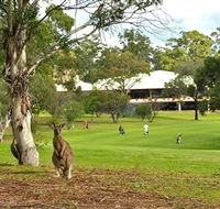 Pambula Merimbula Golf Club - Tourism Cairns