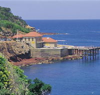 Merimbula Aquarium - Tourism Cairns