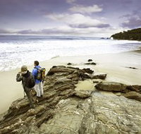 Wilderness Coast Walk - Tourism Cairns
