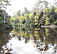Arthur River - Tourism Cairns