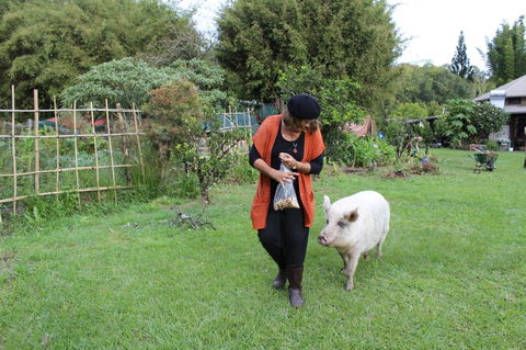 Djanbung Permaculture Gardens - Tourism Cairns 7