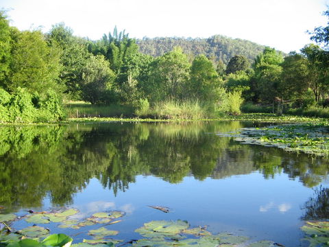 Djanbung Permaculture Gardens - Tourism Cairns 10