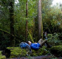 The Tarkine Drive - Tourism Cairns