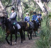Mirravale Horse Riding School - Tourism Cairns