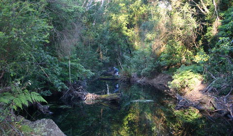 Nadgee Nature Reserve - Tourism Cairns 2