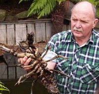 Lobster Ponds - Tourism Cairns