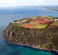 Table Cape - Tourism Cairns