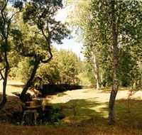 Oldina Picnic Area - Tourism Cairns