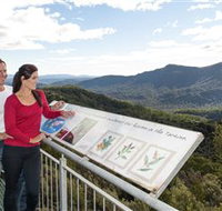 Whyte Hills Lookout - Tourism Cairns