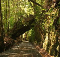 Philosopher Falls - Tourism Cairns