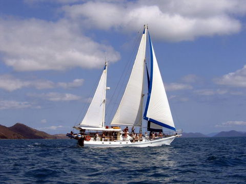 Adventure, Cruise, Dive And Outer Reef - Whitsundays Sailing Adventures - Tourism Cairns 5