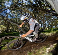 All Terrain Cycles - Tourism Cairns
