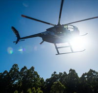Tall Timbers Adventure Tours - Tourism Cairns