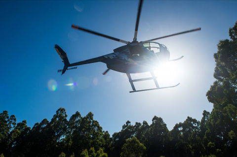Tall Timbers Adventure Tours - Tourism Cairns 2