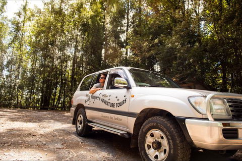 Tall Timbers Adventure Tours - Tourism Cairns 11