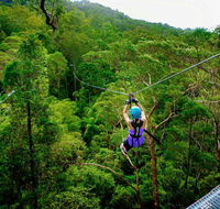 Canyon Flyer - Tourism Cairns