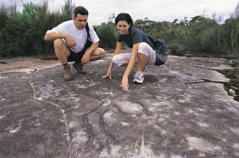 Sydney Coast Walks - Tourism Cairns 3