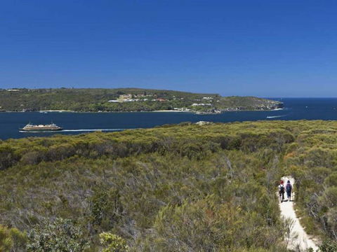 Sydney Coast Walks - Tourism Cairns 7
