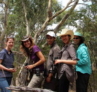 Echidna Walkabout Nature Tours - Tourism Cairns