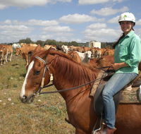 Myella Farm Stay Tours - Tourism Cairns