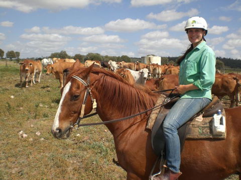 Myella Farm Stay Tours - Tourism Cairns 0
