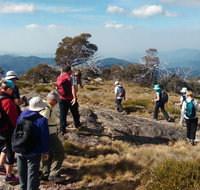 Hedonistic Hiking - Tourism Cairns