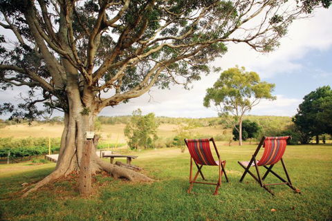 Northern Food Trail - Tourism Cairns 0