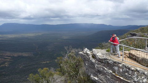 Australian Natural Treasures Touring - Tourism Cairns 21