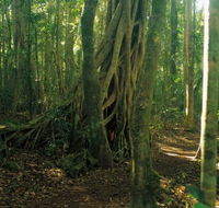 Tullawallal circuit - Tourism Cairns