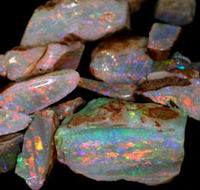 Arid Areas Tours - Tourism Cairns