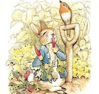 Mount Isa Civic Centre - Tourism Cairns