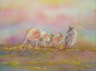 Territory Colours - Tourism Cairns 1