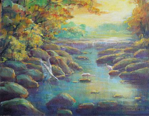 Territory Colours - Tourism Cairns 3