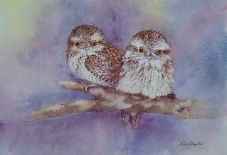 Nada’s Fine Art Gallery - Tourism Cairns 1
