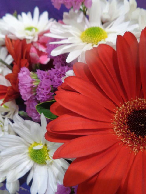 Marysworldart Bali Imports - Tourism Cairns 0