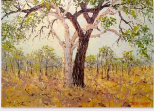 Peter Lawson Fine Art - Tourism Cairns 1