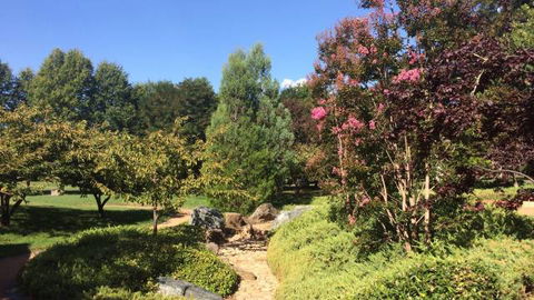 Lennox Gardens - Tourism Cairns 0