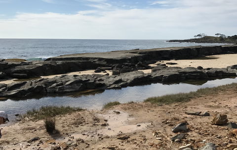 Yamba Tours And Charters - Tourism Cairns 0