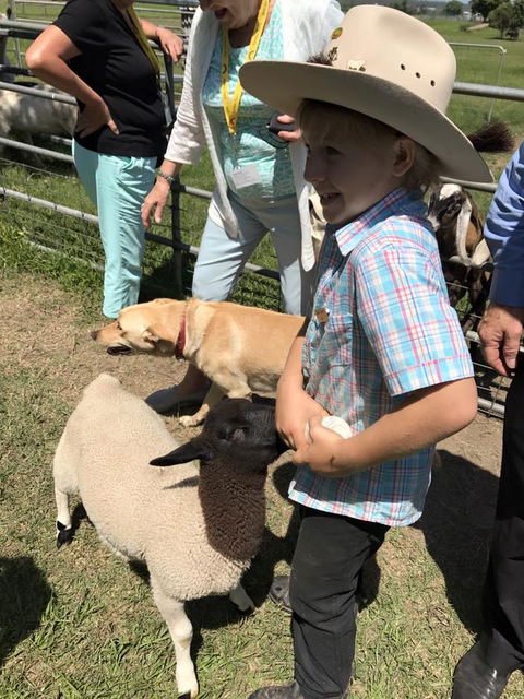 Yamba Tours And Charters - Tourism Cairns 2