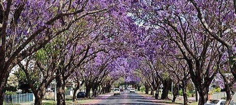 Yamba Tours And Charters - Tourism Cairns 6