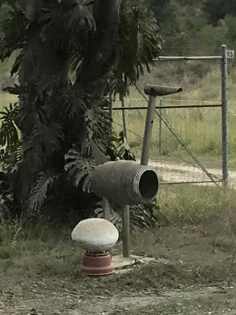 Yamba Tours And Charters - Tourism Cairns 7