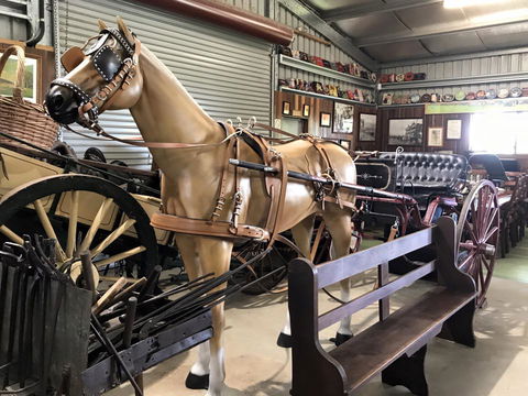 Yamba Tours And Charters - Tourism Cairns 9